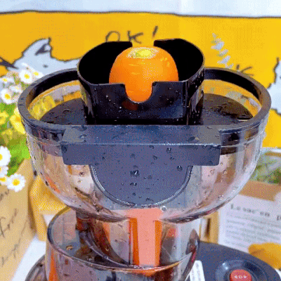 Quick Juicer 2.0