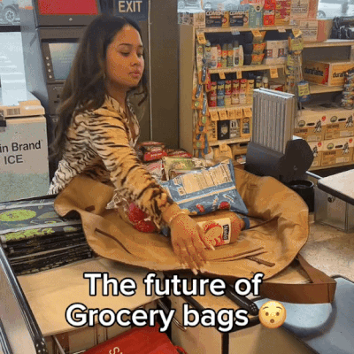 The Toted Blanket™ Bag
